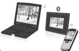 PARROT PHOTO VIEWER 7CC - Envio de lasOTOS - 1