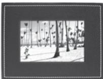 PARROT PHOTO VIEWER 7CC - POSICAO DO QUADRO - 1