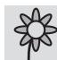 KTM 1190 RC8 R JP - Avertissement - 1