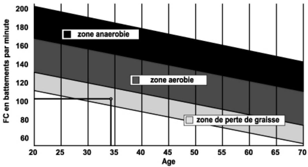 CARE FITNESS MINI STEPPER - Définition de votre Zone de travail : - 1