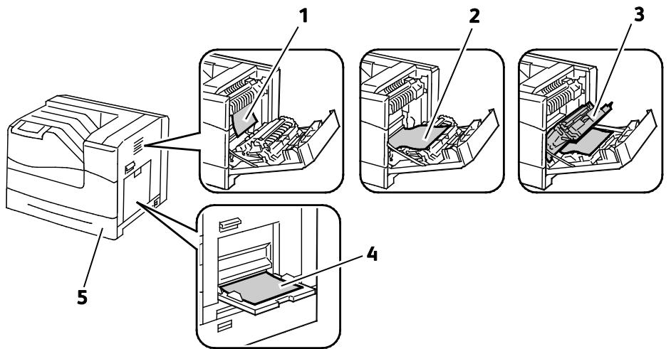XEROX PHASER 6700 - Emplacement des incidents papier - 1