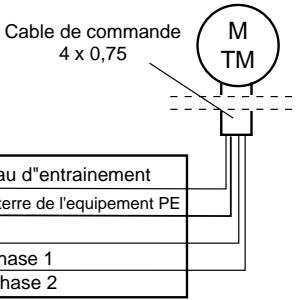 CHAMBERLAIN TM20 - Le moteur ne s'arrête pas - 2
