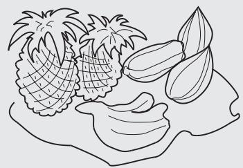 HAIER AFD631CB - Suggestões para guardar os alimentos no frigorífico - 4