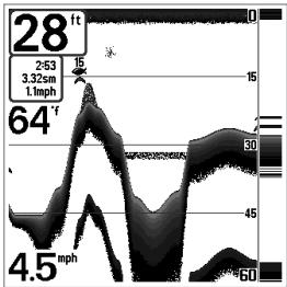 HUMMINBIRD MATRIX 12 - Affichage du fond - 2