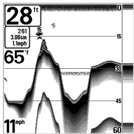 HUMMINBIRD MATRIX 12 - Affichage du fond - 4