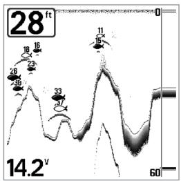 HUMMINBIRD MATRIX 12 - Sensibilité (Sensitivity) - 1