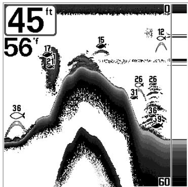 HUMMINBIRD MATRIX 12 - (mode utilisateur Avancé, excludivement en mode d'affichage Sonar) - 1