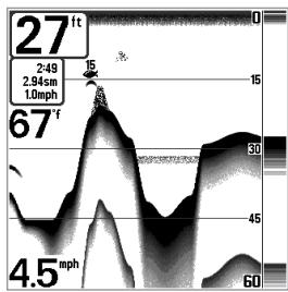 HUMMINBIRD MATRIX 12 - Affichage du fond - 3