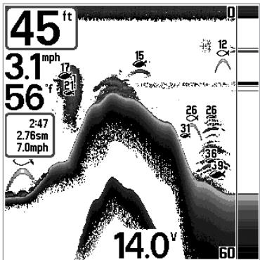HUMMINBIRD MATRIX 12 - (mode utilisateur Avancé, excludivement en mode d'affichage Sonar) - 2