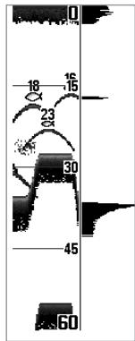 HUMMINBIRD MATRIX 27 - Fenêtre sonar en temps réel (RTS) - 2