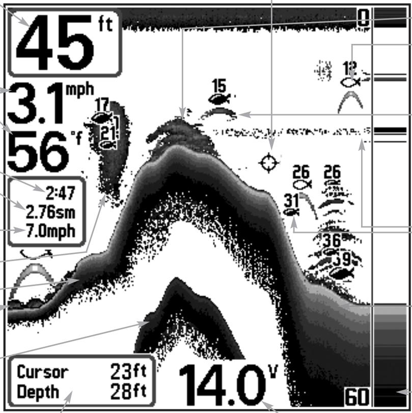 HUMMINBIRD MATRIX 27 - Sonar à quatre faisceaux - 1