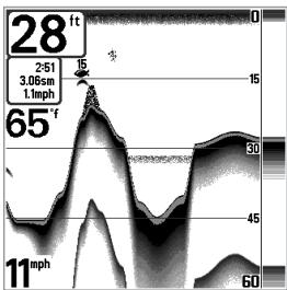 HUMMINBIRD MATRIX 27 - Affichage du fond - 4