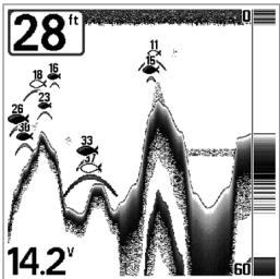 HUMMINBIRD MATRIX 27 - Sensibilité (Sensitivity) - 3