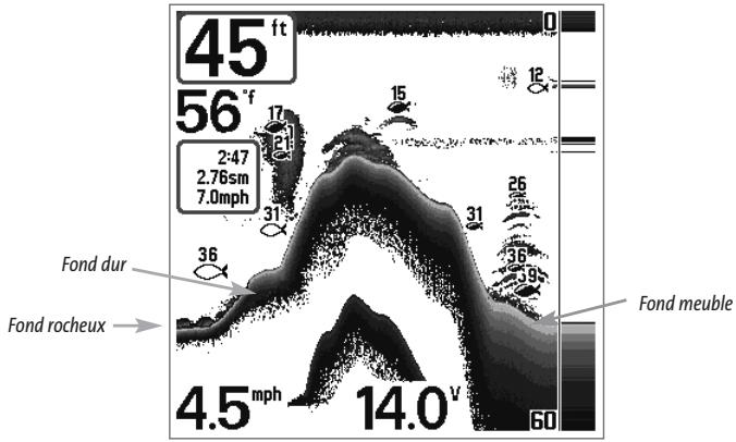 HUMMINBIRD MATRIX 27 - Affichage du fond - 1