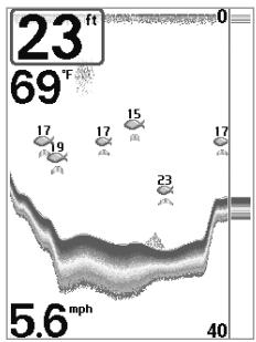 HUMMINBIRD MATRIX 77C - Fenêtre sonar en temps réel (RTS) - 2