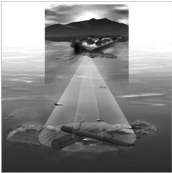 HUMMINBIRD MATRIX 77C - Sonar à double faisceau DualBeam PLUS - 1