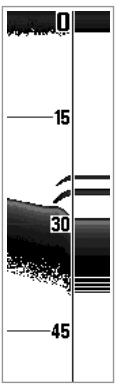 HUMMINBIRD MATRIX 77C - Fenêtre Sonar en temps réel (RTS) - 1