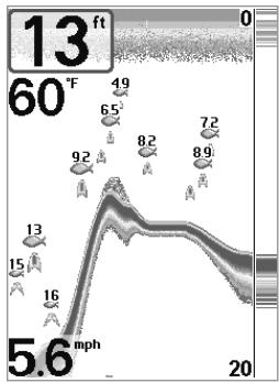 HUMMINBIRD MATRIX 77C - Représentation du fond - 1