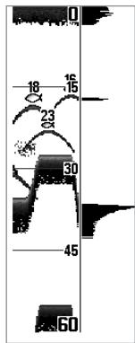 HUMMINBIRD MATRIX 77C - Fenêtre Sonar en temps réel (RTS) - 2