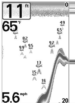 HUMMINBIRD MATRIX 77C - Sensibilité - 2