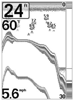 HUMMINBIRD MATRIX 77C - Représentation du fond - 2