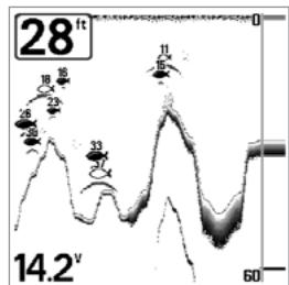 HUMMINBIRD 323 - Sensibilité - 1