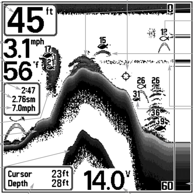 HUMMINBIRD 323 - Représentations à l'écran - 1
