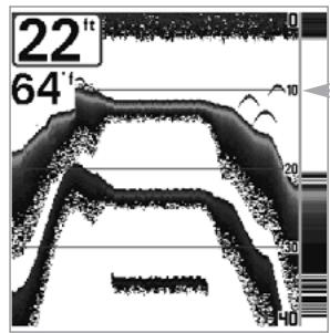 HUMMINBIRD 323 - Lignes de profondeur - 1