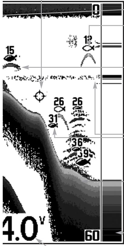 HUMMINBIRD 323 - Représentations à l'écran - 2