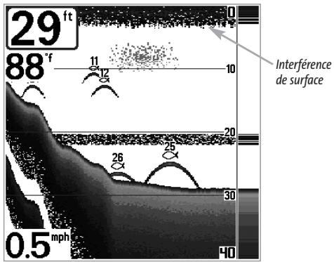HUMMINBIRD 323 - Interférence de surface - 1