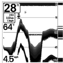 HUMMINBIRD 323 - Affichage du fond - 2