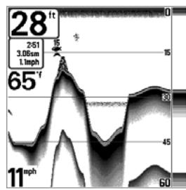 HUMMINBIRD 323 - Affichage du fond - 4