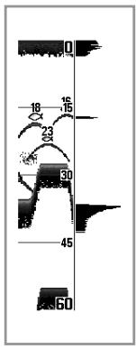 HUMMINBIRD 777C - Fenêtre sonar en temps réel [RTS] - 2
