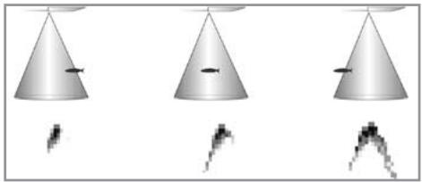 HUMMINBIRD 777C - ID poisson + - 7