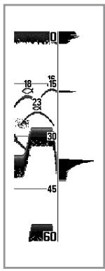 HUMMINBIRD 777C2 - Fenêtre sonar en temps réel (RTS) - 2