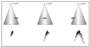 HUMMINBIRD MATRIX 97 - Identification de poisson [Fish ID+] - 2