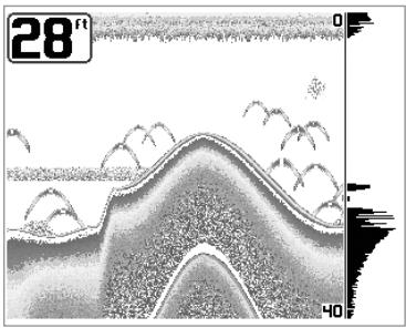 HUMMINBIRD MATRIX 97 - Representatund fond - 2