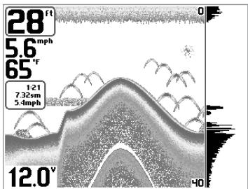 HUMMINBIRD MATRIX 97 - (mode utiliseur Avancé, exclusivement en mode d'affichage Sonar) - 2