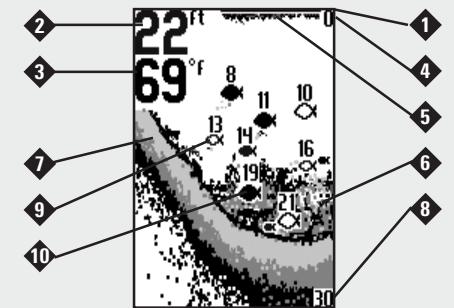 HUMMINBIRD PIRANHAMAX 210 - Representations à l'écran - 1