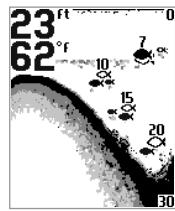 HUMMINBIRD PIRANHAMAX 220 - Affichage du fond - 2