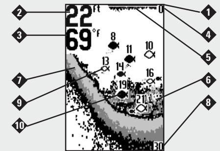HUMMINBIRD PIRANHAMAX 220 - Representations à l'écran - 1