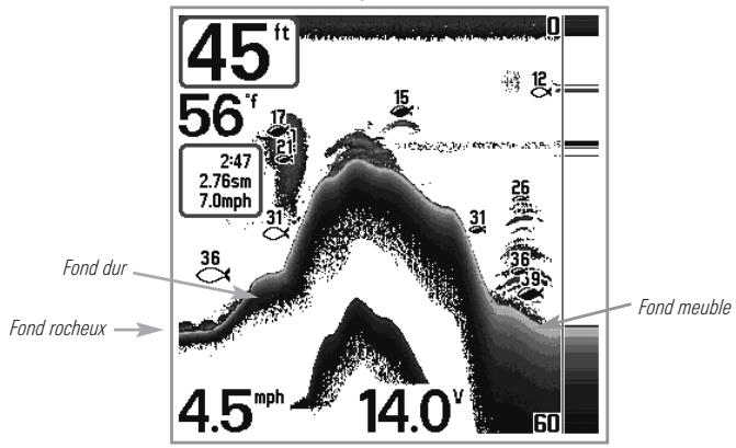 HUMMINBIRD 727 - Représentation du fond - 1
