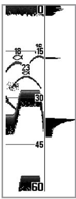 HUMMINBIRD 727 - Fenêtre sonar en temps réel [RTS] - 2