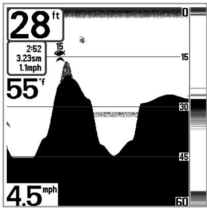 HUMMINBIRD 727 - Représentation du fond - 5