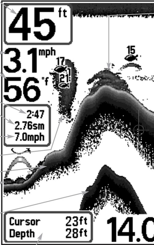 HUMMINBIRD 727 - Représentations à l'écran - 1
