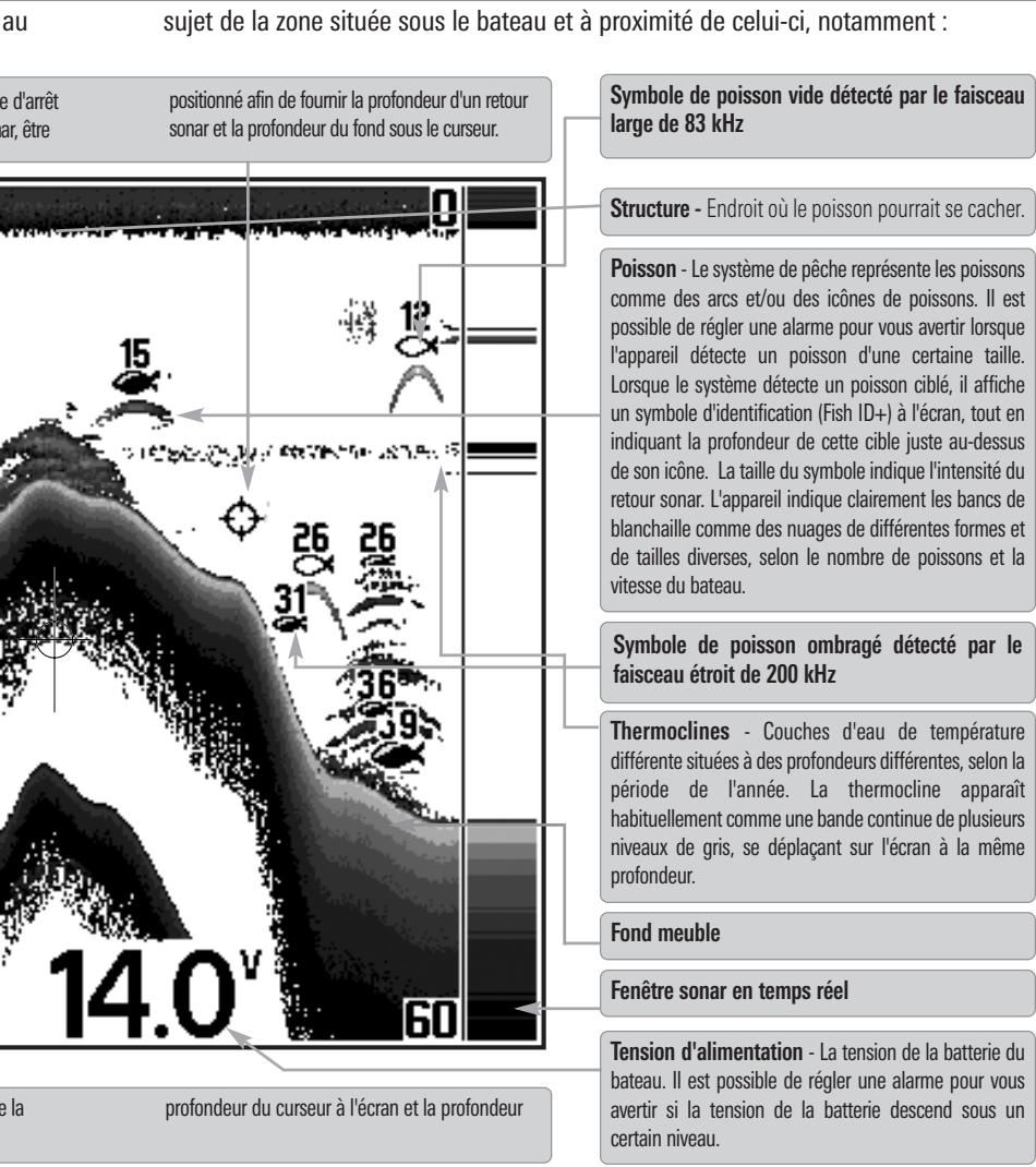 HUMMINBIRD 727 - Représentations à l'écran - 2