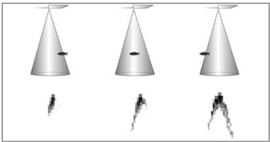 HUMMINBIRD 727 - IDoisson+ - 7