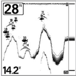 HUMMINBIRD 727 - Sensibilité - 1