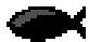 HUMMINBIRD 727 - IDoisson+ - 3