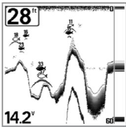 HUMMINBIRD 727 - Sensibilité - 2